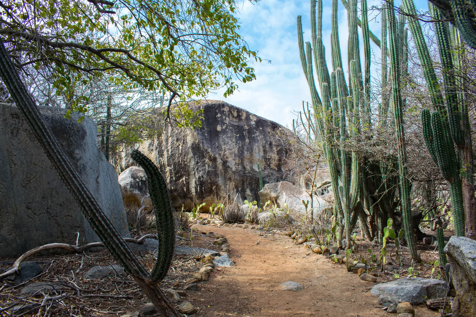 Arikok National Park Hike